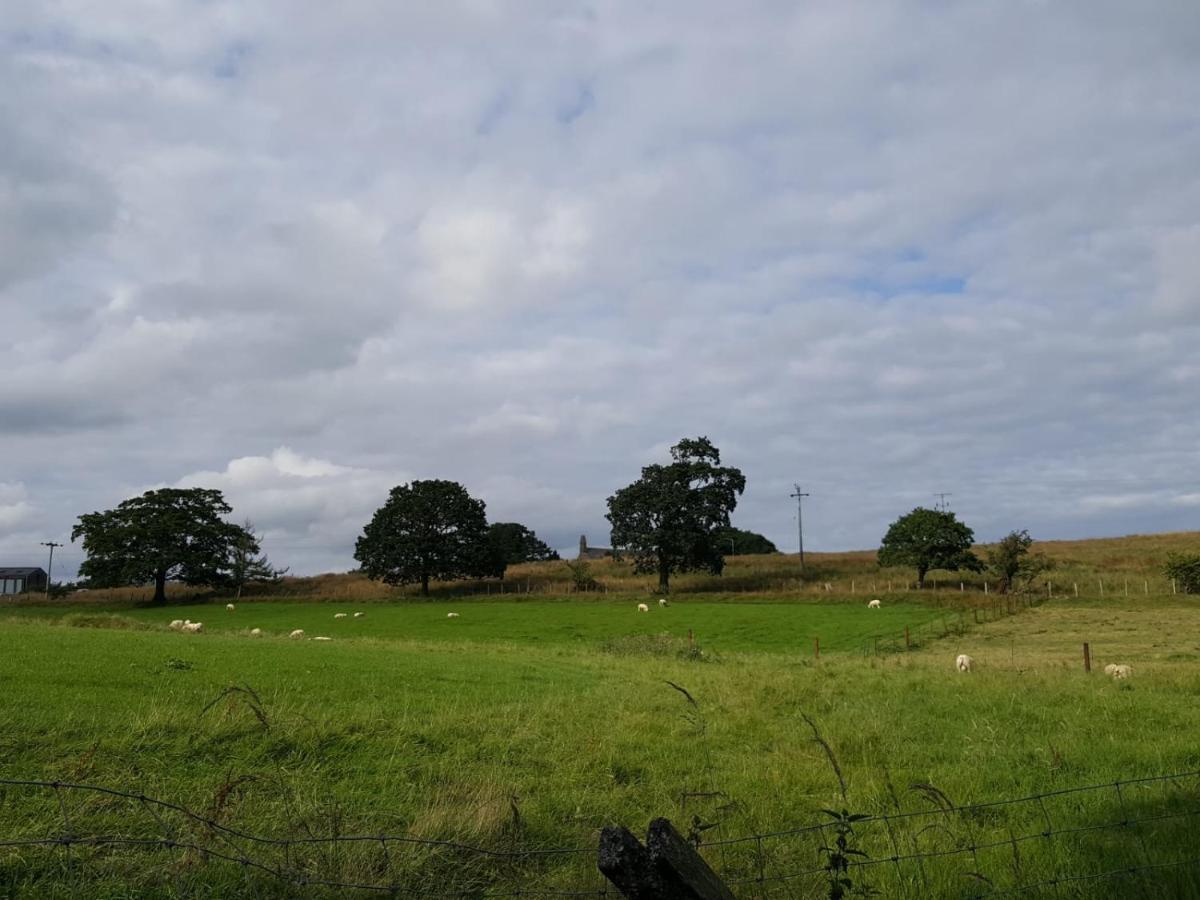 Lower Turnerford Farmhouse Newby  エクステリア 写真