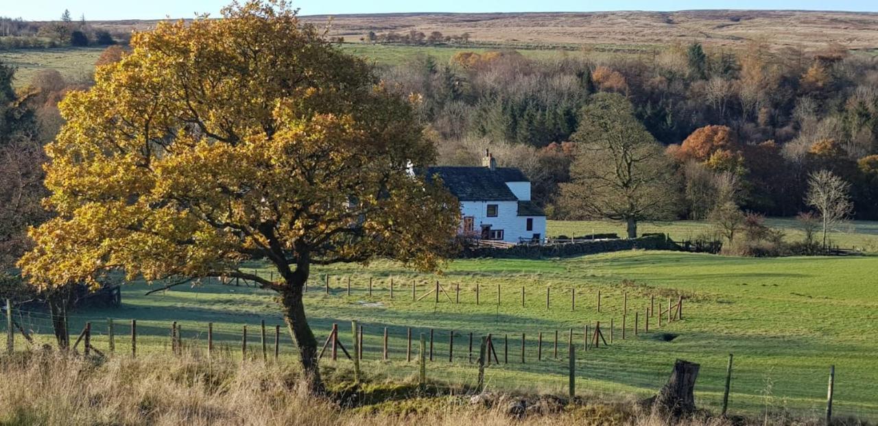 Lower Turnerford Farmhouse Newby  エクステリア 写真